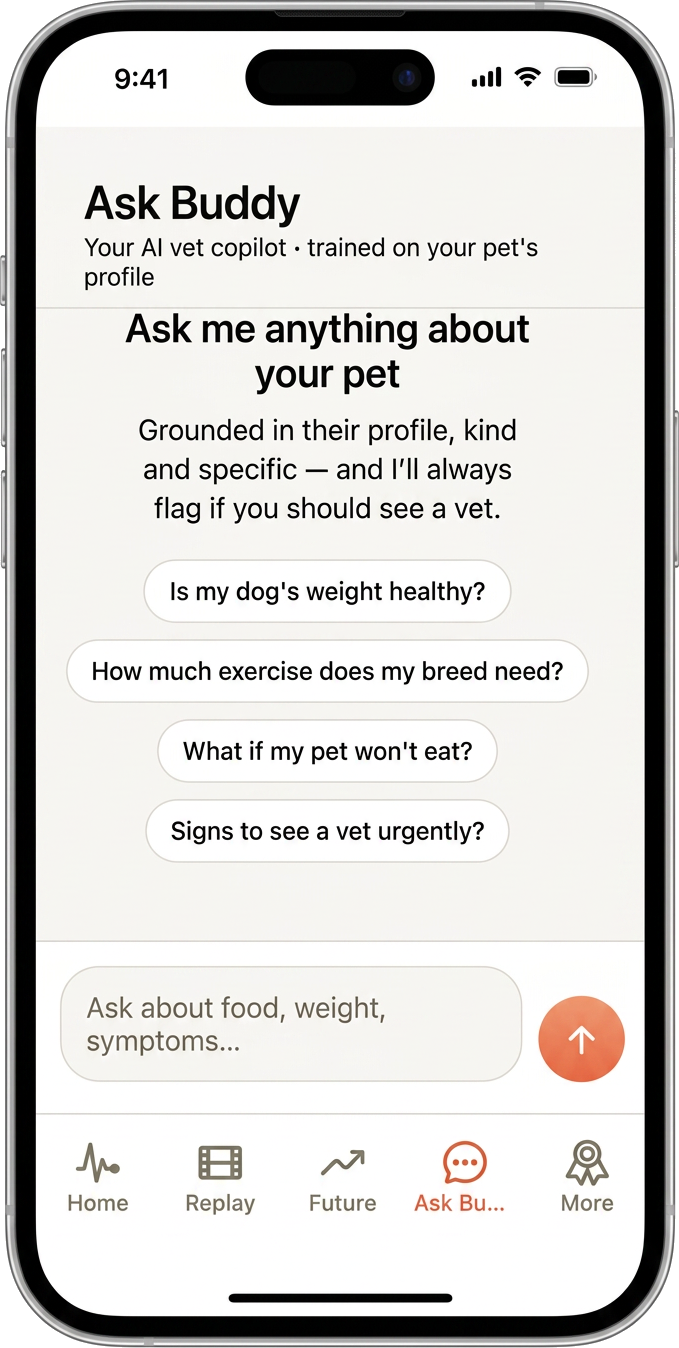 PawPulse Ask Buddy screen, an AI vet copilot answering questions about a pet's profile